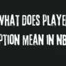 What does player option mean in nba