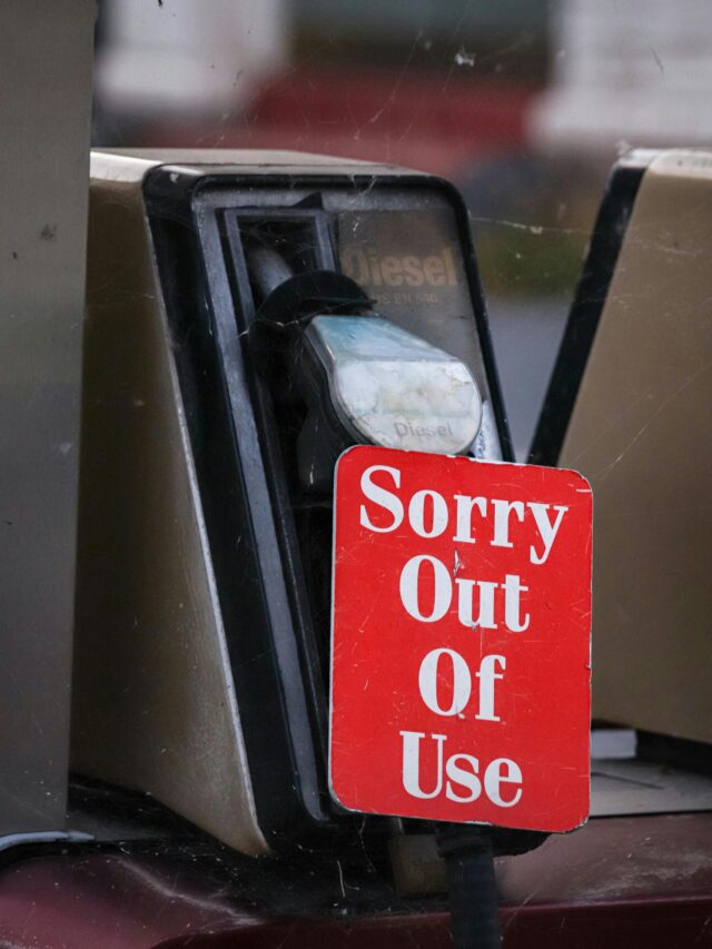 pexels-photo-13074029