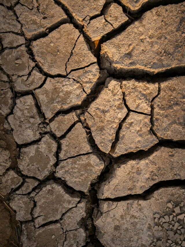 Earthquake shakes California Santa Cruz today